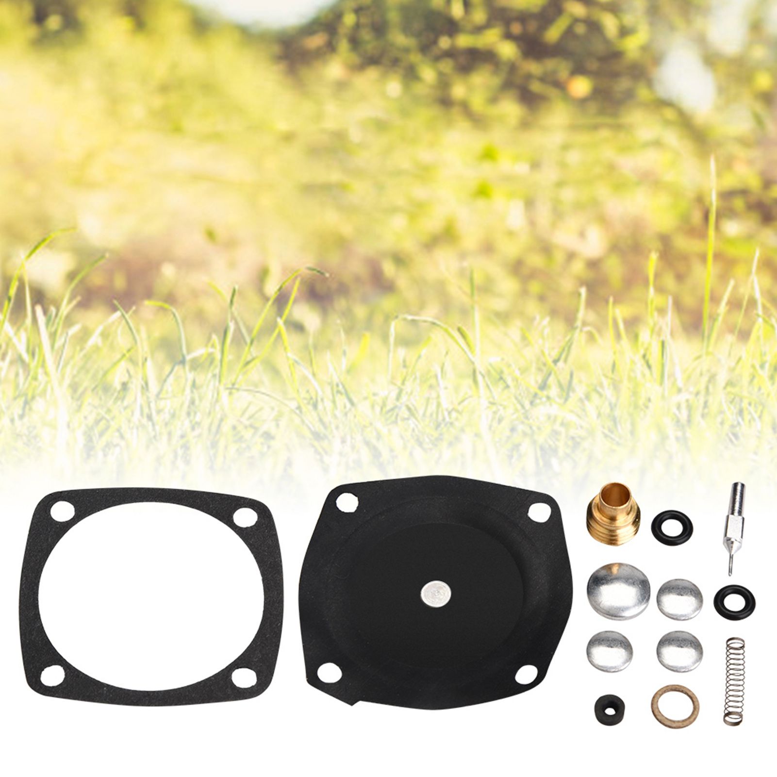 Carb Rebuild Carburetor Repair Kit 631893 for Tecumseh Toro Sears S140 S200 view 12
