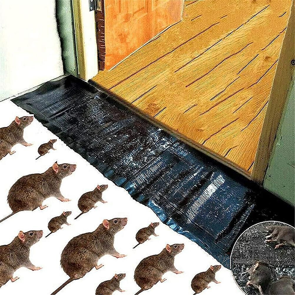Rat Sticky Pads Trap Glue for Mice Mouse Rodent Glue Trap Board Glue Traps view 2