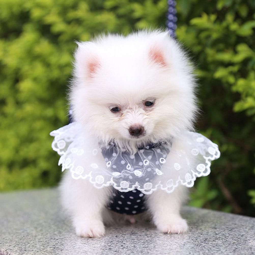 Dog Cat Bow Chest Harness Leash Comfortable Puppy Small Dogs Harnesses Vest view 10