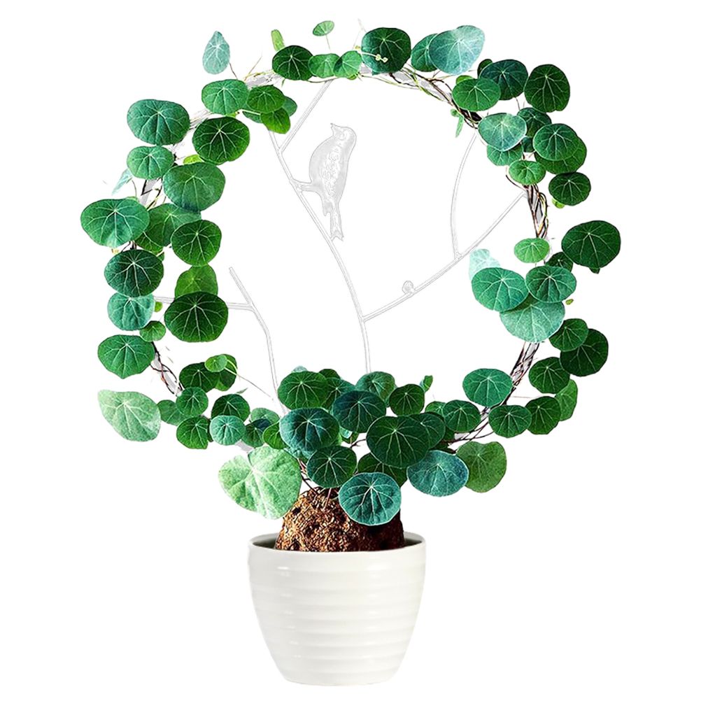 Vine Climbing Rack Iron Vegetables Plant Trellis Plant Support Frame Plant