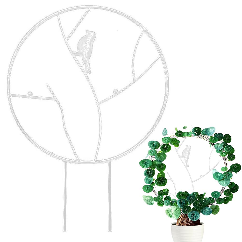 Vine Climbing Rack Iron Vegetables Plant Trellis Plant Support Frame Plant view 4