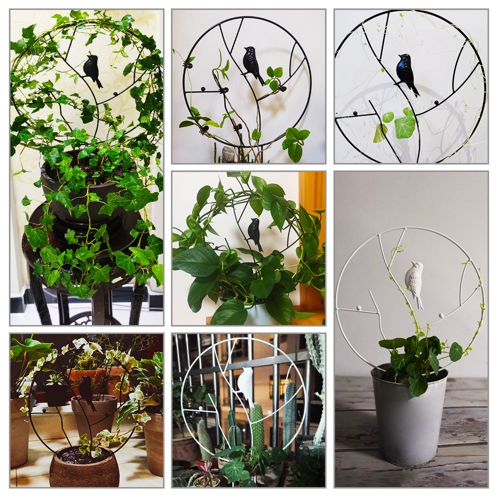 Vine Climbing Rack Iron Vegetables Plant Trellis Plant Support Frame Plant view 6