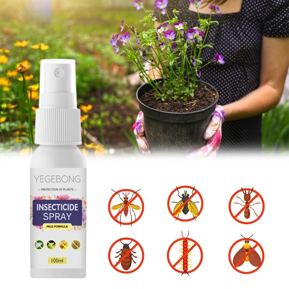 Flower Plant Insect Spray Potted Plant Insect Spider Spray view 2
