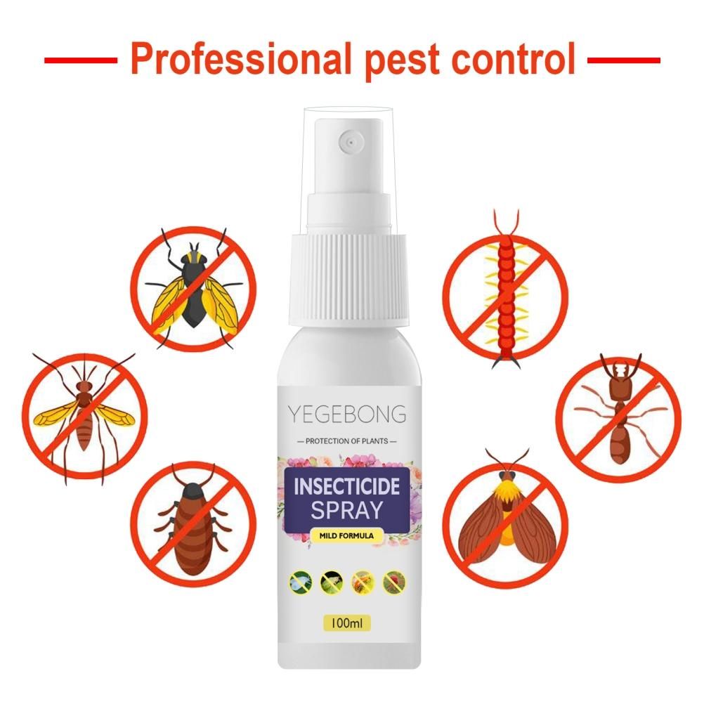 Flower Plant Insect Spray Potted Plant Insect Spider Spray view 3