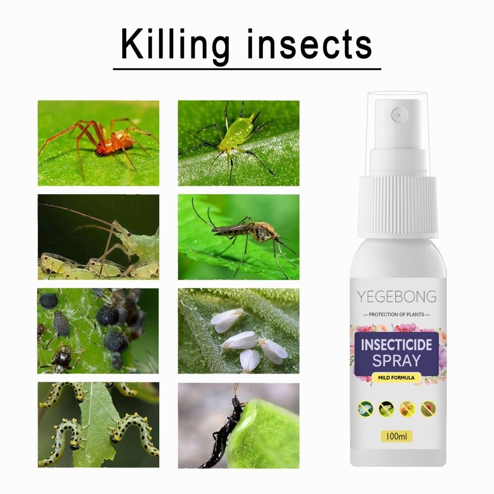 Flower Plant Insect Spray Potted Plant Insect Spider Spray view 5