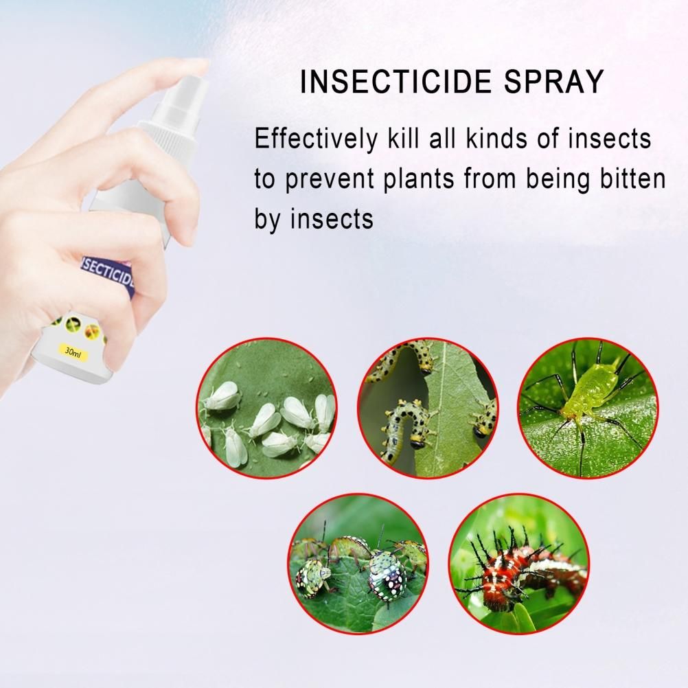 Flower Plant Insect Spray Potted Plant Insect Spider Spray view 6