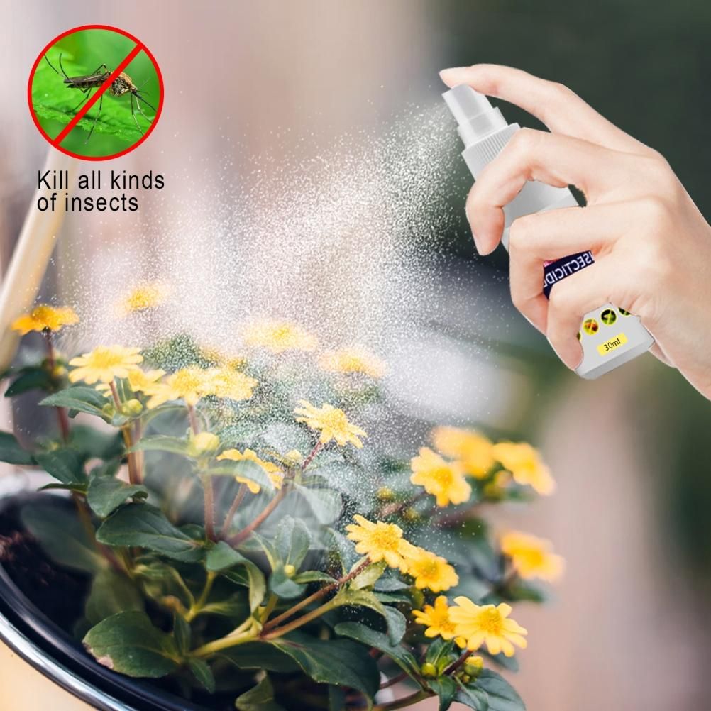 Flower Plant Insect Spray Potted Plant Insect Spider Spray view 7