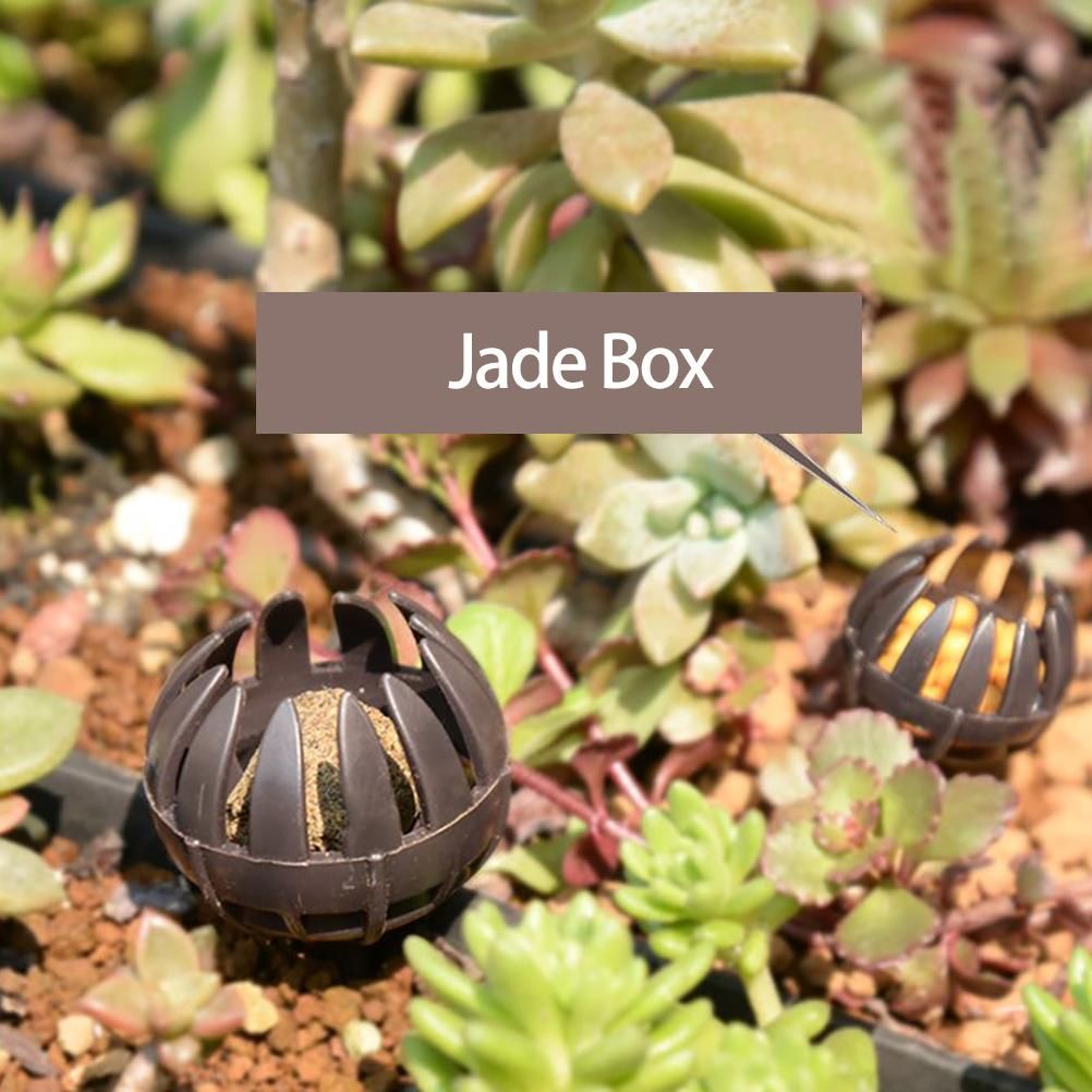 10 Pieces Bonsai Fertilizer Box Automatic Planting Fertilizers Baskets Plastic view 6