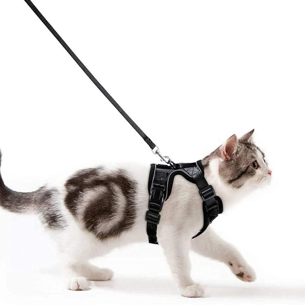 Cat Harness with Leash for Walking Escape Proof Adjustable Vest Harnesses for view 8