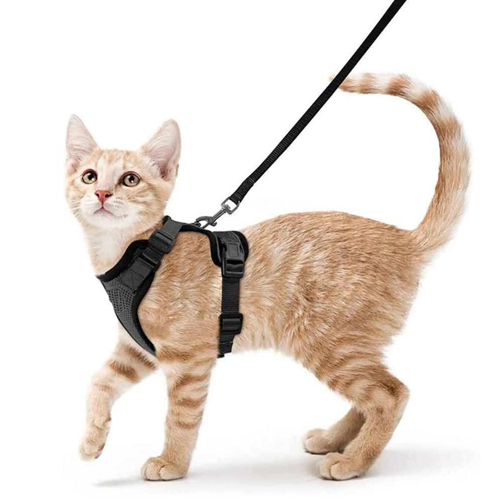 Cat Harness with Leash for Walking Escape Proof Adjustable Vest Harnesses for view 9