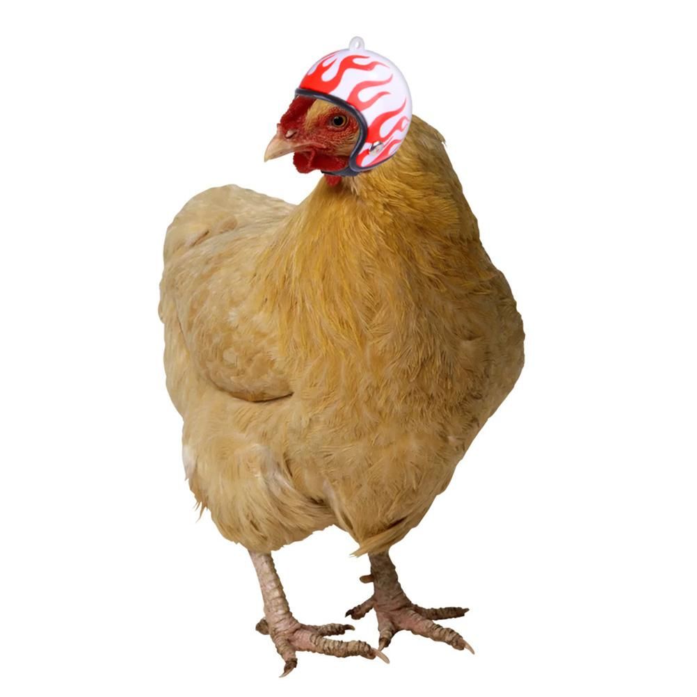 Chicken Helmet Bird Head Protection Hat Funny Chicken Bird Toy with Elastic Band view 5