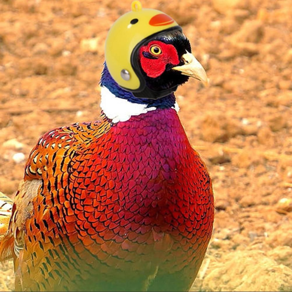 Chicken Helmet Bird Head Protection Hat Funny Chicken Bird Toy with Elastic Band view 6