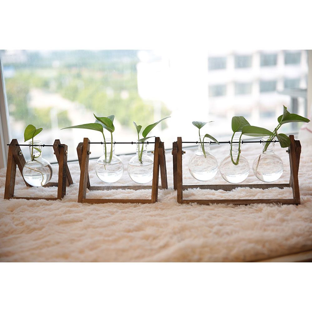 Plant Propagation Station with Wooden Stand Plant Terrarium For Home Office — image 1