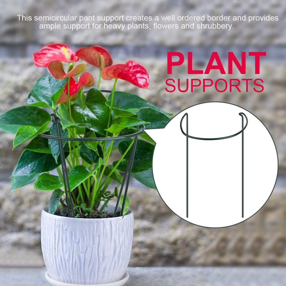 Plant Support Plant Stake Half Round Plant Support Ring Garden Flower Support view 5