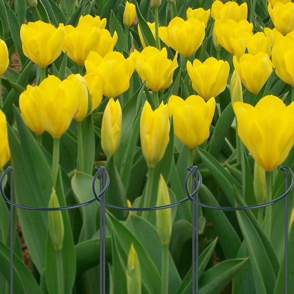 Plant Support Plant Stake Half Round Plant Support Ring Garden Flower Support view 6