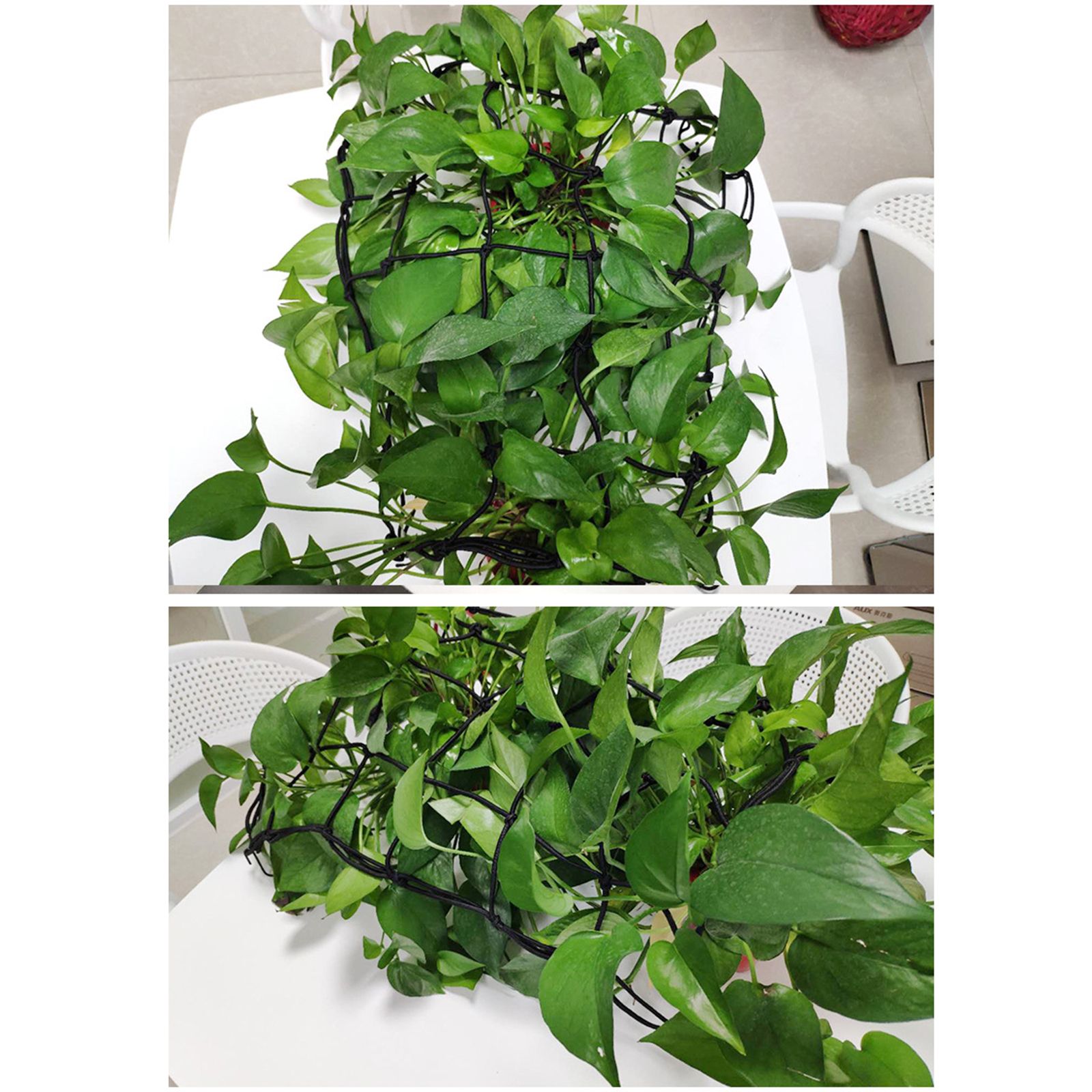 Elastic Plant Tent Compression Mesh Multifunctional Elastic Nylon Belt view 4