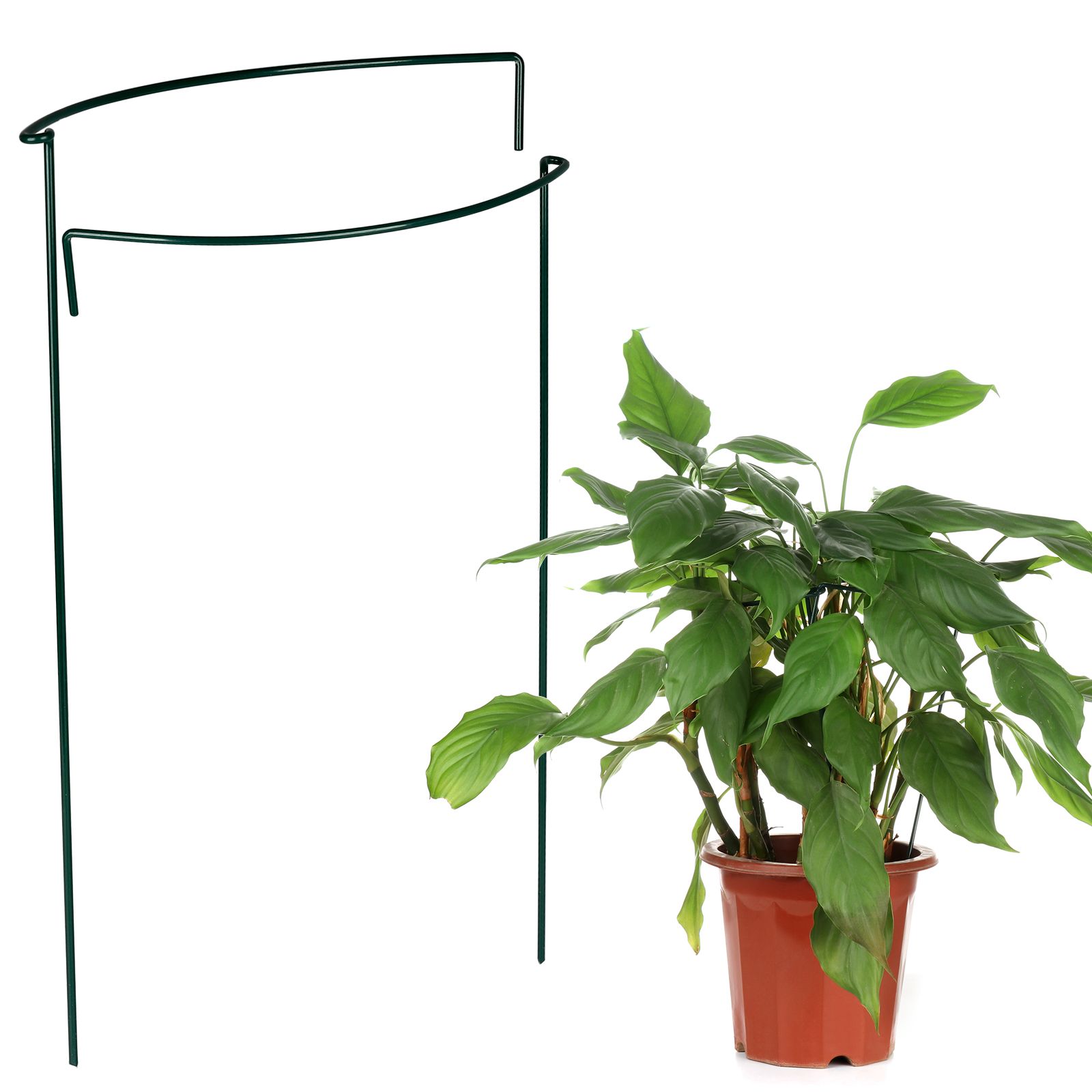 40cm Gardening Plant Cage Support Multifunctional Curved Metal Plant Support view 5