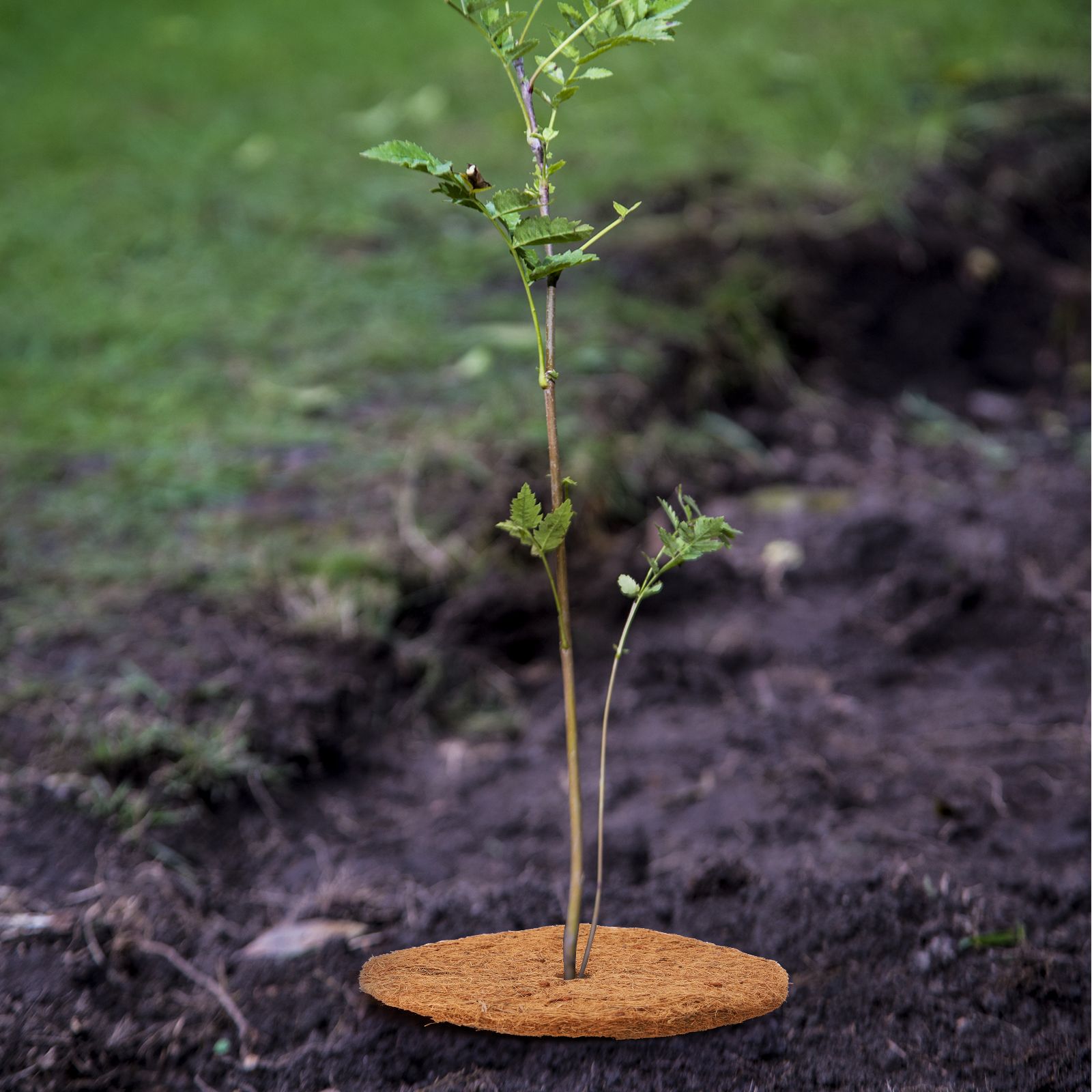 Coconut Fiber Mulch Ring 11.81 Inch Tree Protector Mat Plant Cover Ring for view 6