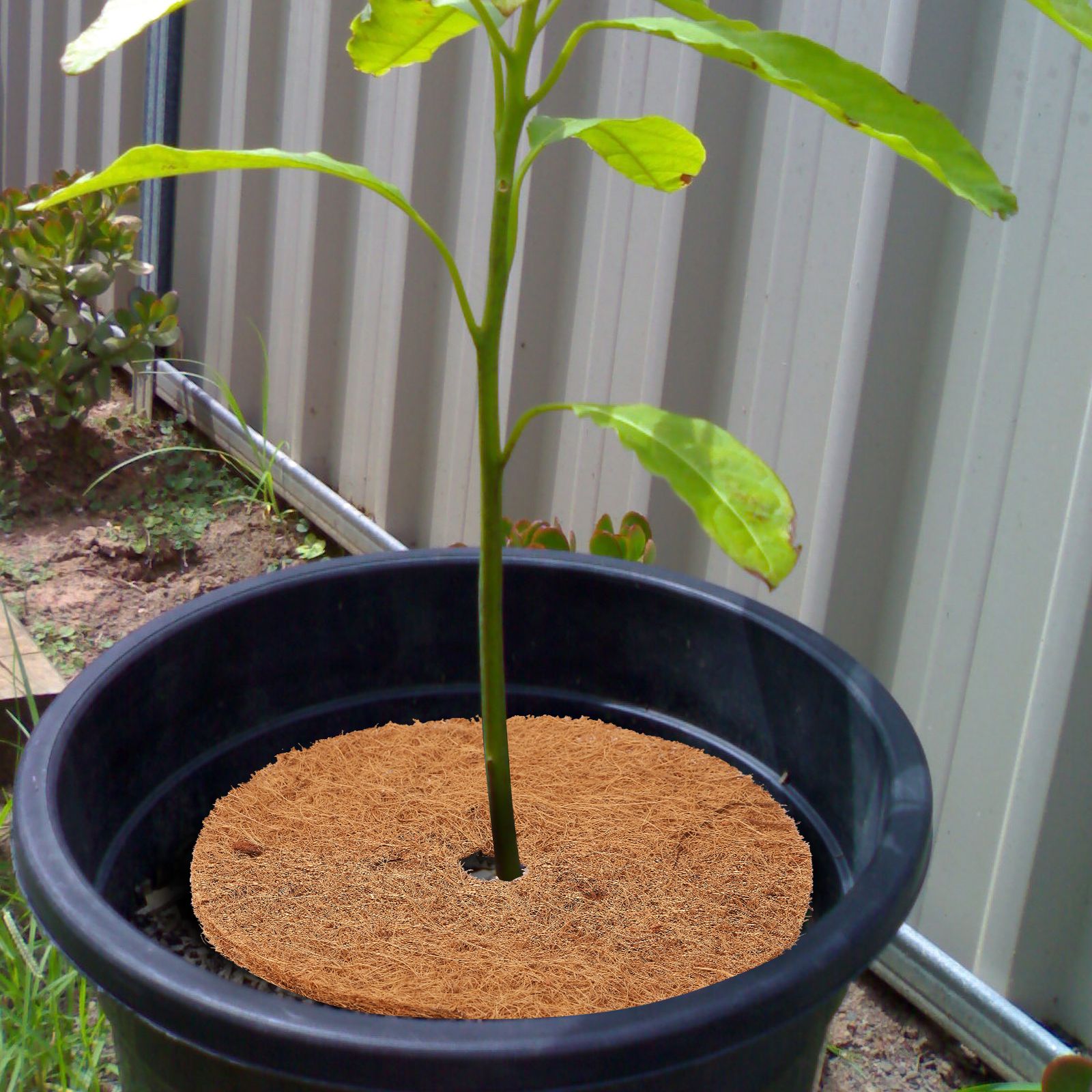 Coconut Fiber Mulch Ring 13.77 Inch Tree Protector Mat Plant Cover Ring for view 7