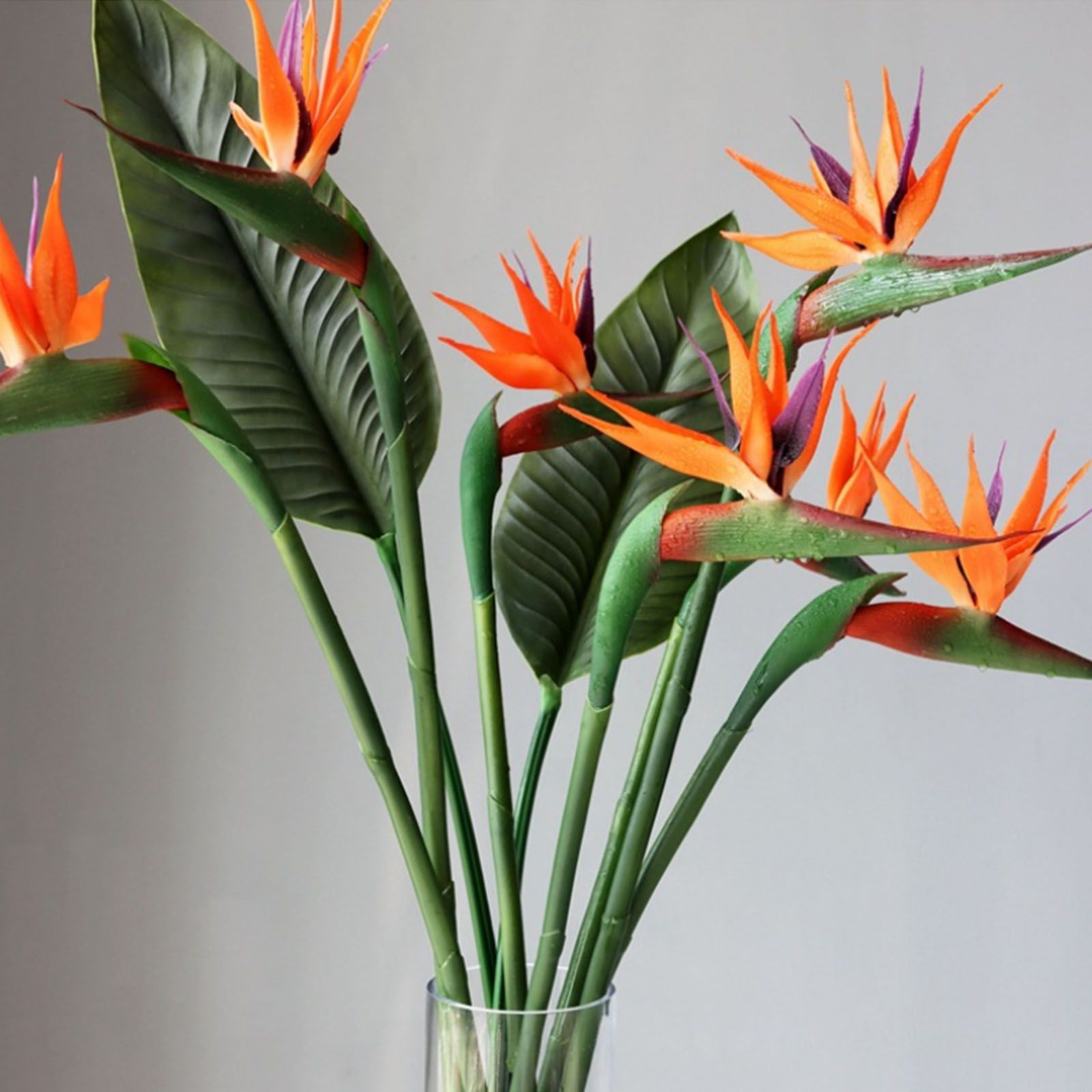 3pcs Artificial Strelitzia Reginae Flower 55cm Simulation Fake Bird of view 6