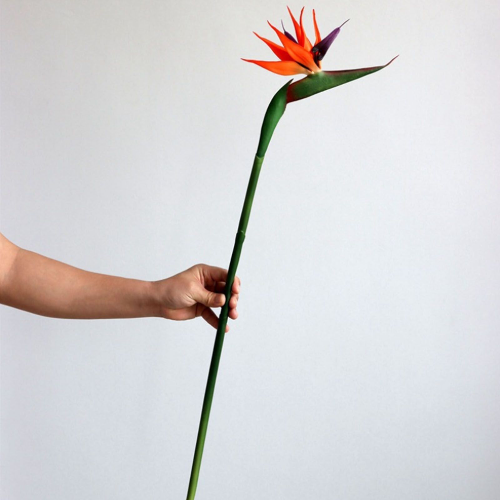 3pcs Artificial Strelitzia Reginae Flower 55cm Simulation Fake Bird of view 7