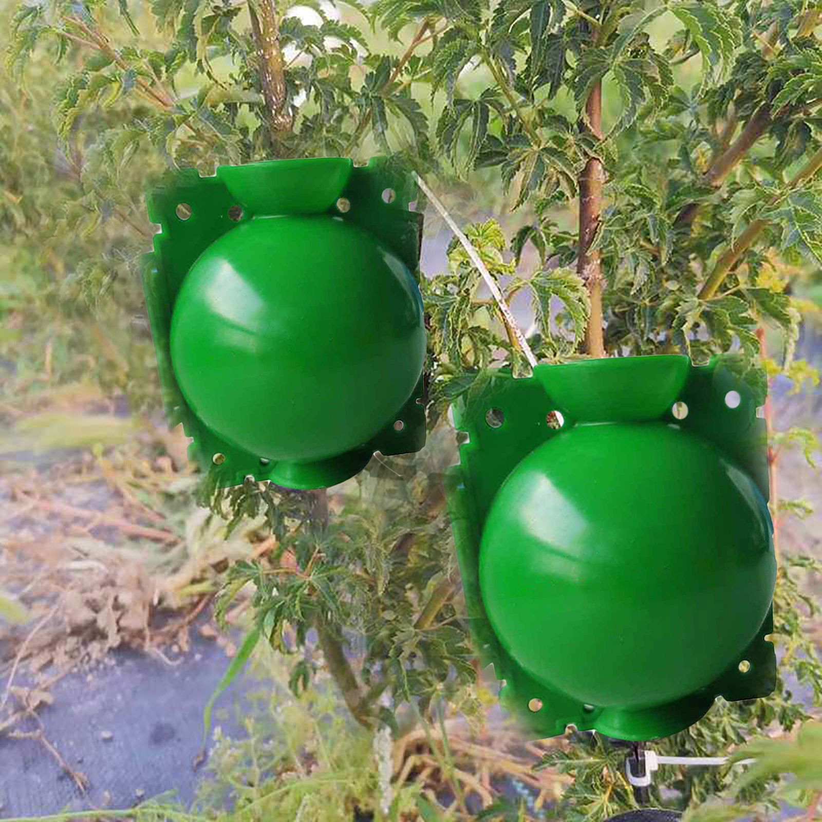 10Pcs Plant Root Growing Box High Pressure Propagation Ball Rooting Grafting — image 1
