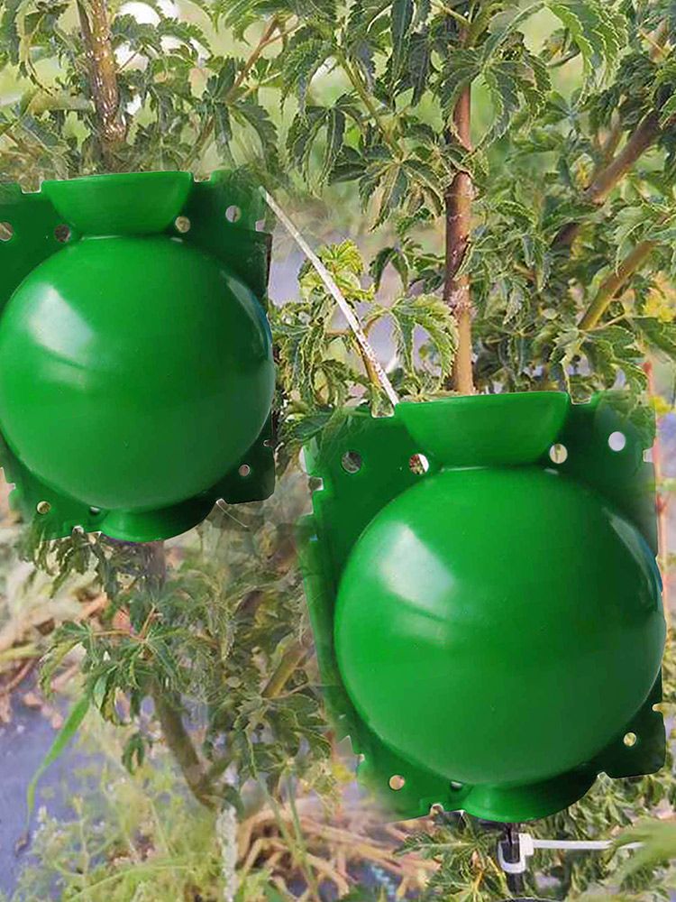 10Pcs Plant Root Growing Box High Pressure Propagation Ball Rooting Grafting view 7
