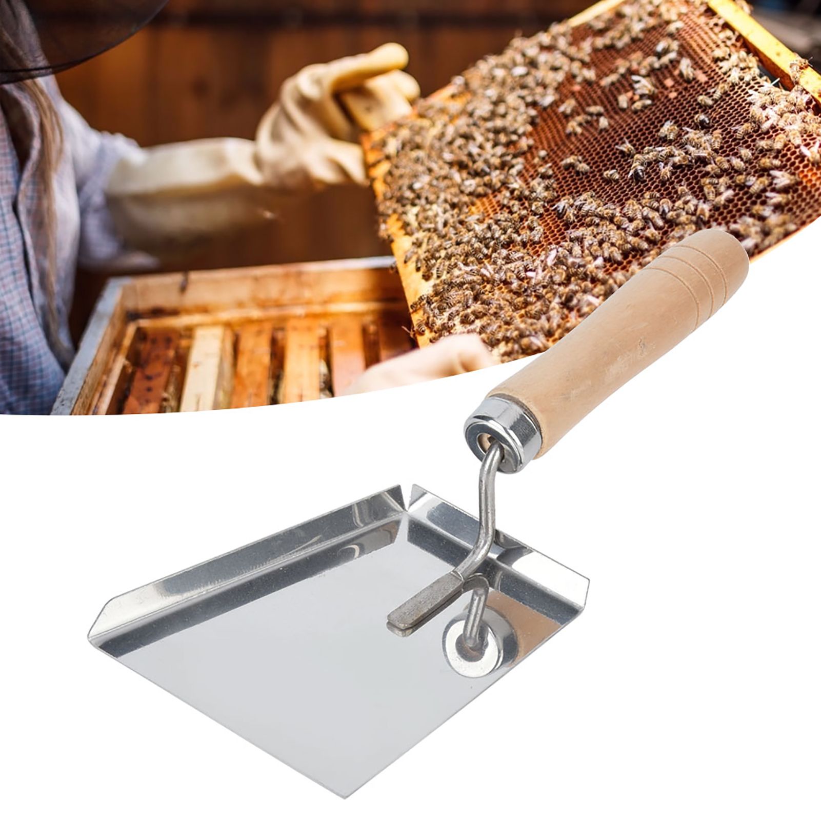 Beekeeping Tools Beehive Honey Wax Scraper Shovel Beehive Cleaner Extractor view 6