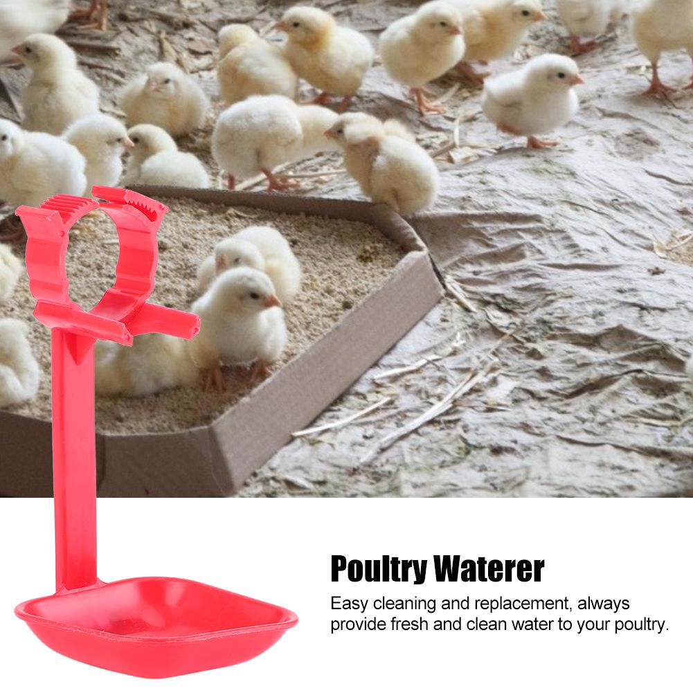 20Pcs Chicken Nipple Drinker Cups Waterer Hanging Cup Drinking Water Tool Farm view 7