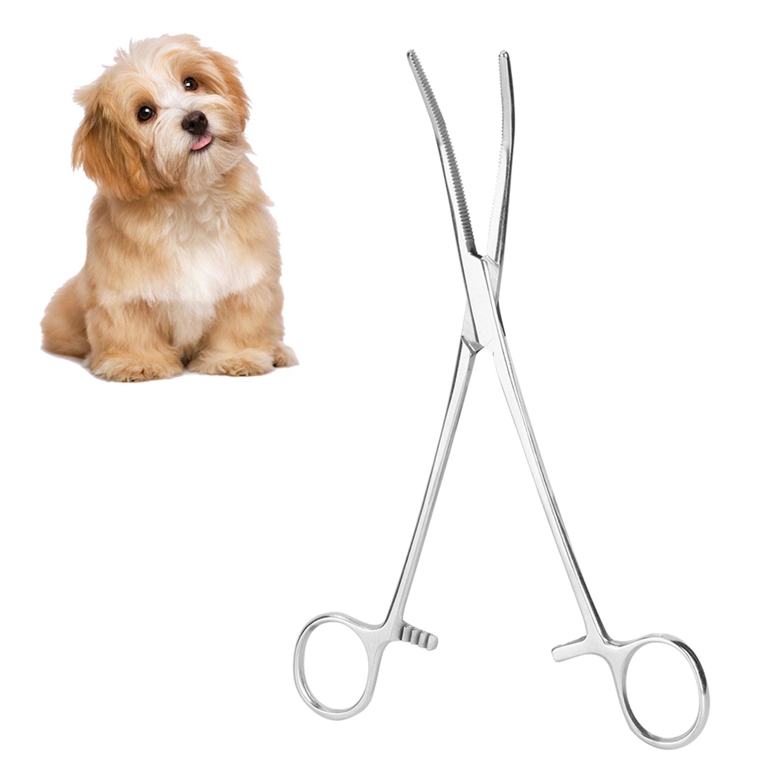 Stainless Steel Curved Tip Haemostatic Cleaning Clamp Pliers Pet Dog Cat Hair view 3