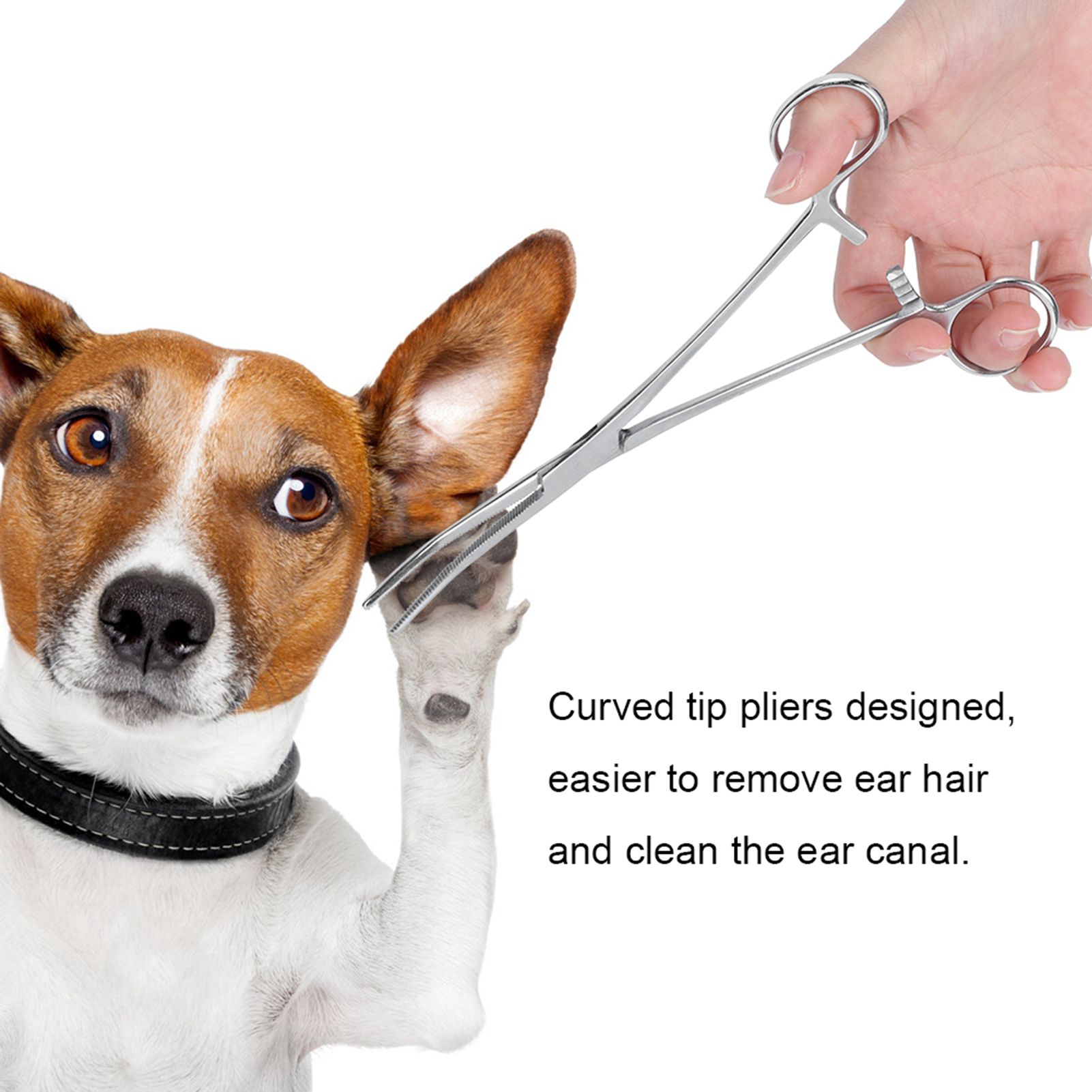 Stainless Steel Curved Tip Haemostatic Cleaning Clamp Pliers Pet Dog Cat Hair view 8