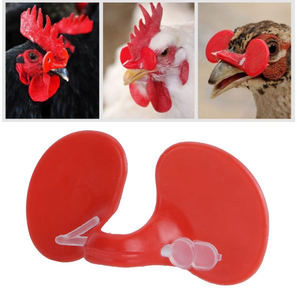500Pcs Chicken Blinders Spectacles Anti Pecking Eye Glasses Tool for Poultry view 6