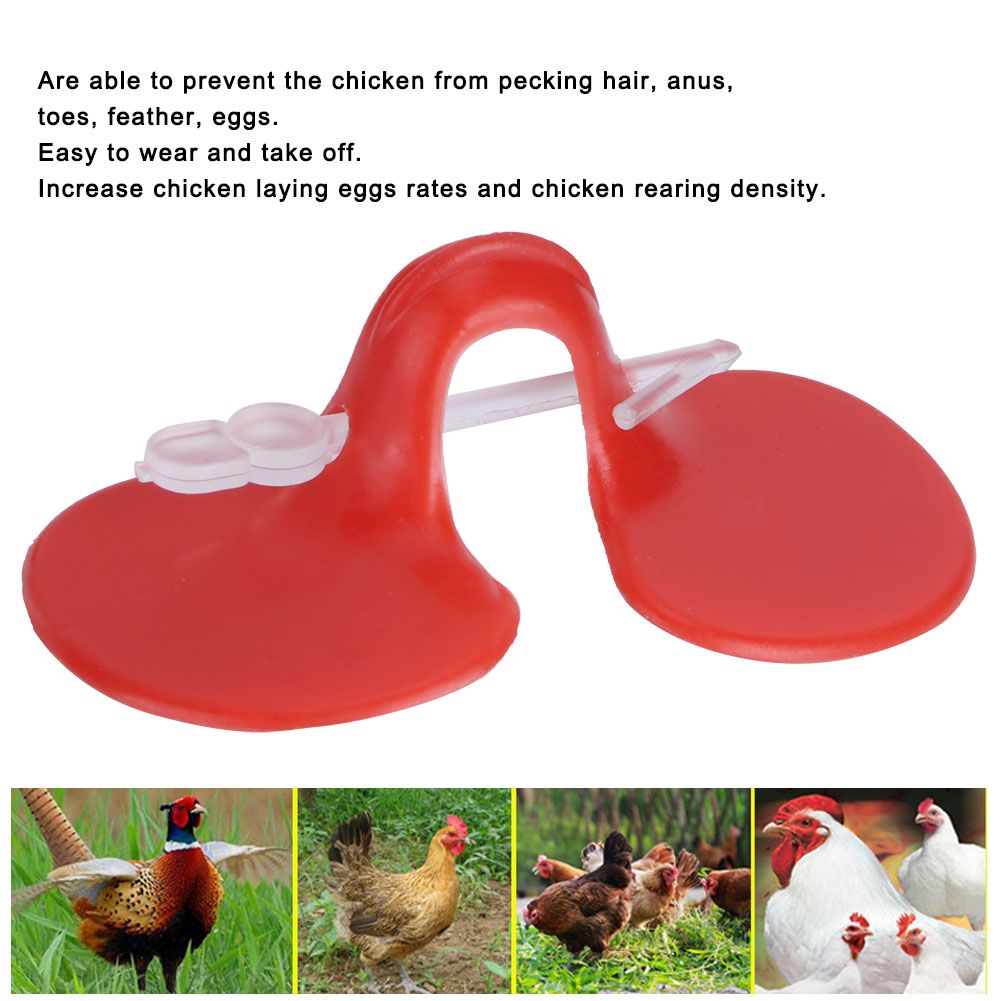 500Pcs Chicken Blinders Spectacles Anti Pecking Eye Glasses Tool for Poultry view 8