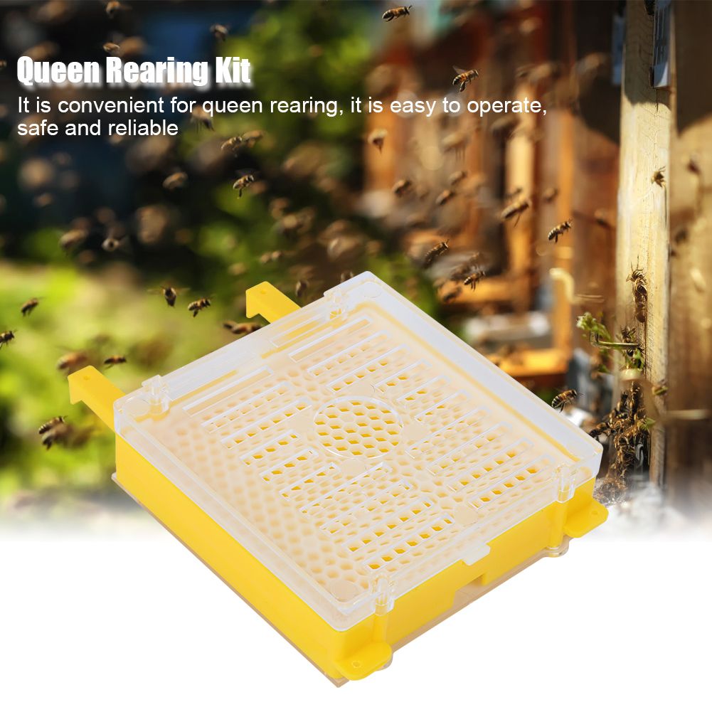 Queen Rearing Package Queen Cell Protective Cover Full Bee Breeding Set for view 7