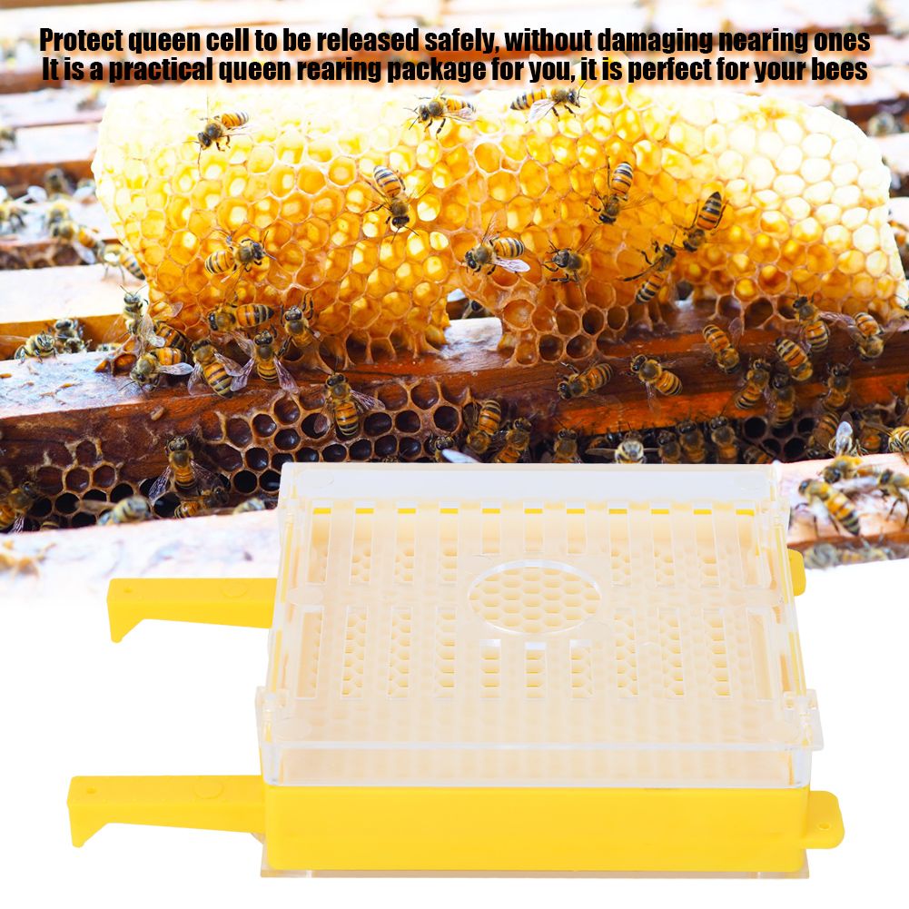 Queen Rearing Package Queen Cell Protective Cover Full Bee Breeding Set for view 8