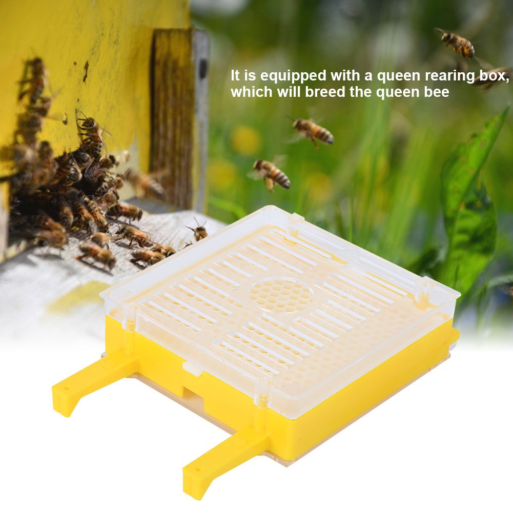 Queen Rearing Package Queen Cell Protective Cover Full Bee Breeding Set for view 9