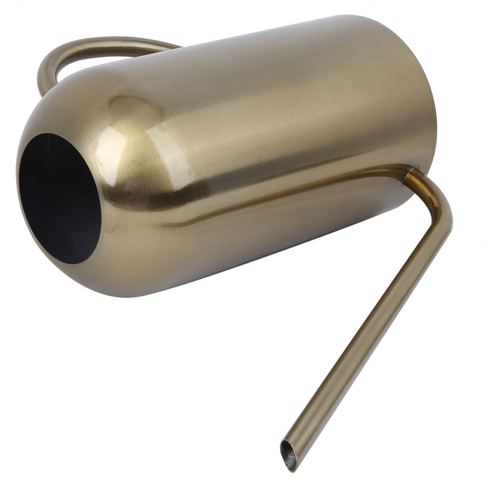 Stainless Steel Long Spout Watering Can Garden Watering Pot Irrigation Tool view 3