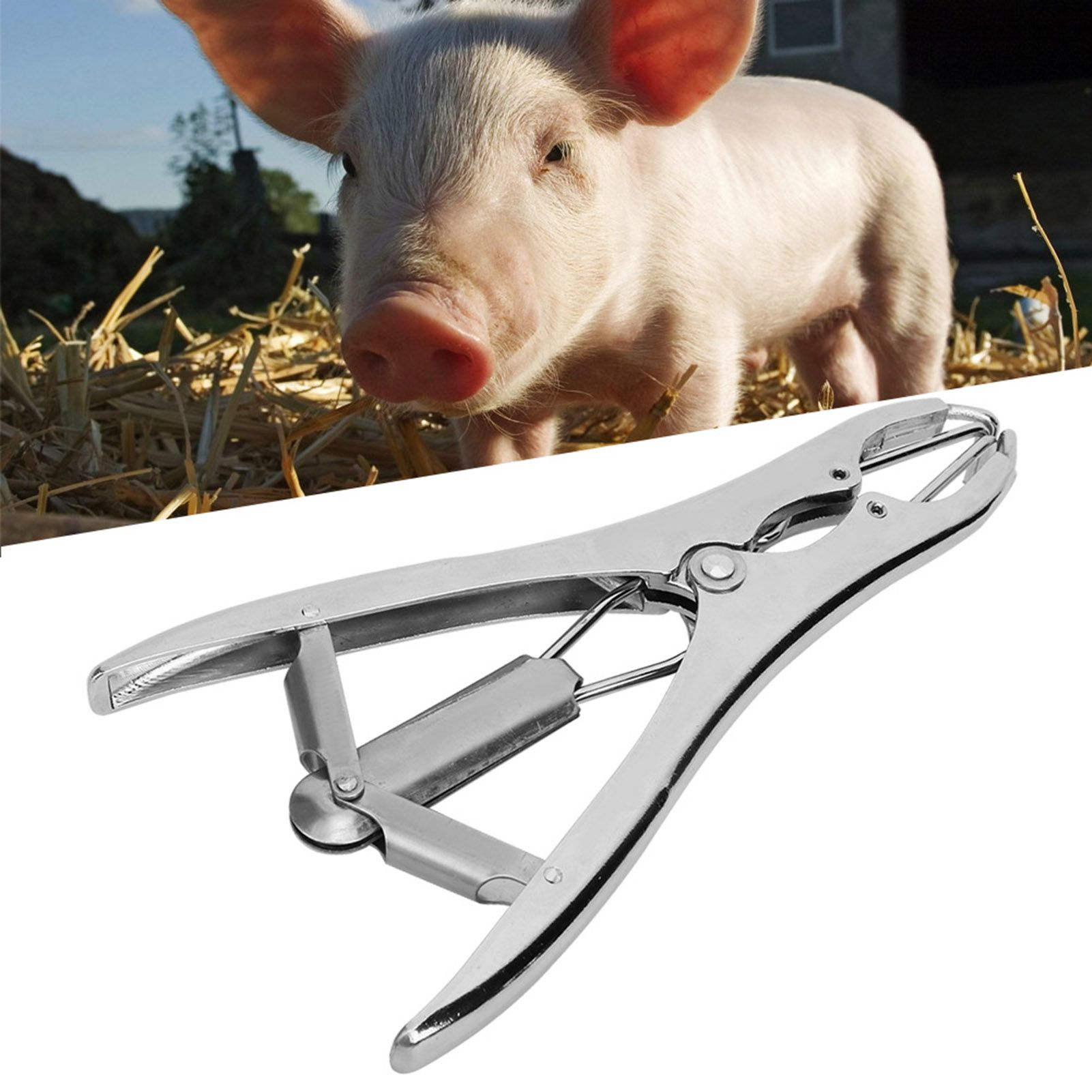 Pigs Castration Pliers with 100pcs Castrator Rings Tail Docking Device view 7