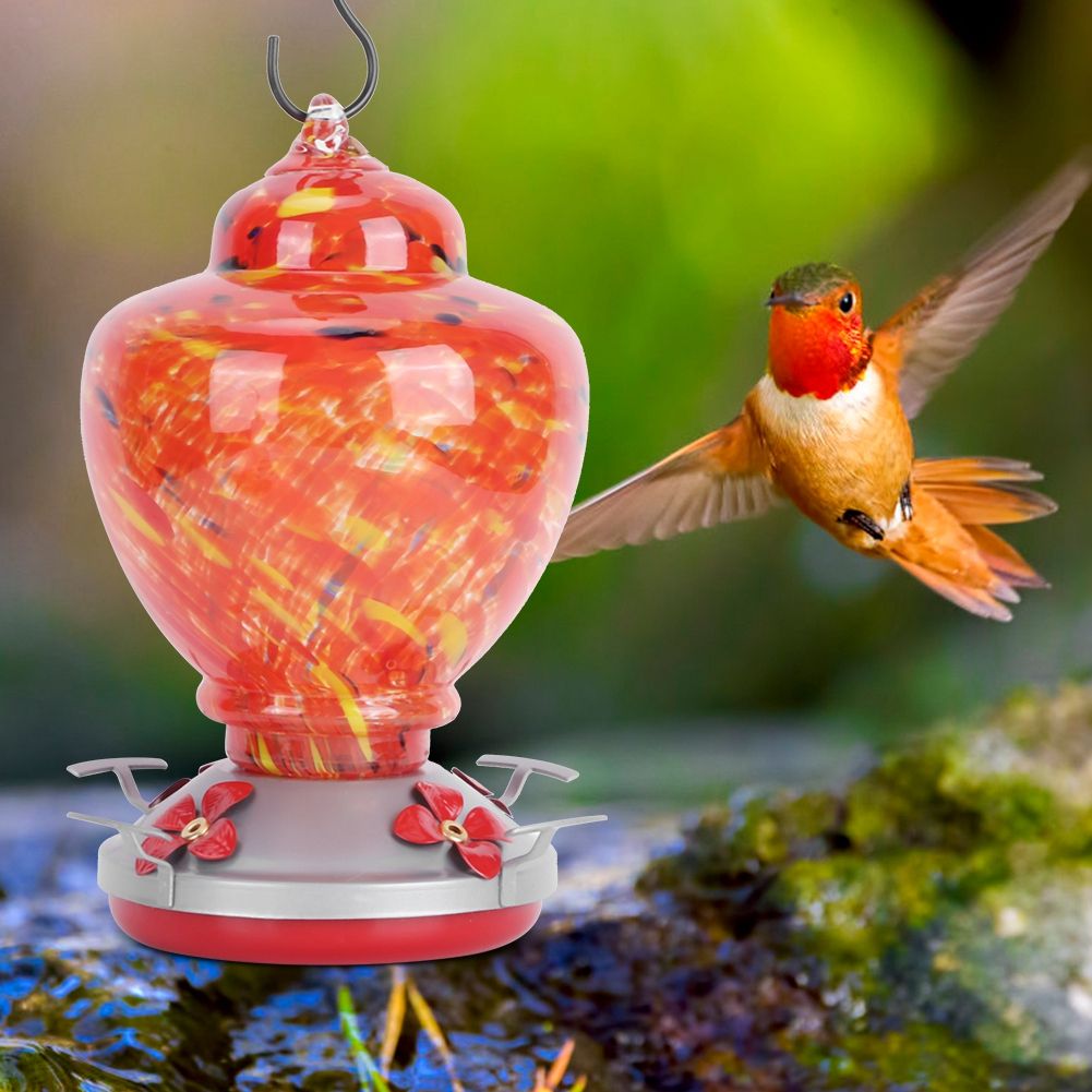 Courtyard Colorful Painting Bird Feeder Water Feeding Tool Equipment for