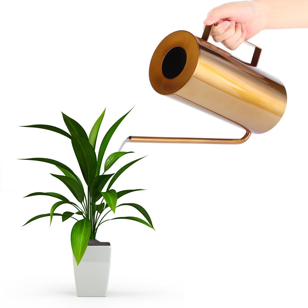 Garden Stainless Steel Long Spout Watering Can Pot Flower Plant Irrigation view 9