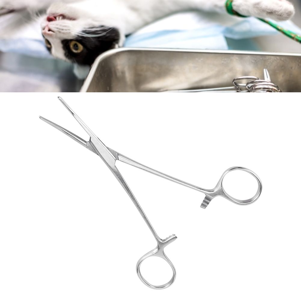 Surgical Haemostatic Hemostatic Forceps Stainless Steel Curved Tip Pliers Pet view 9
