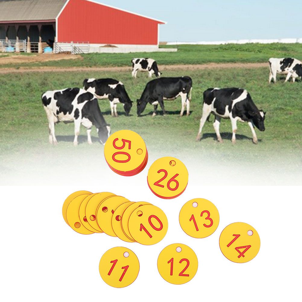 Beekeeping Husbandry Hanging Numbered Tag Labels Farm Livestock Breeding view 10