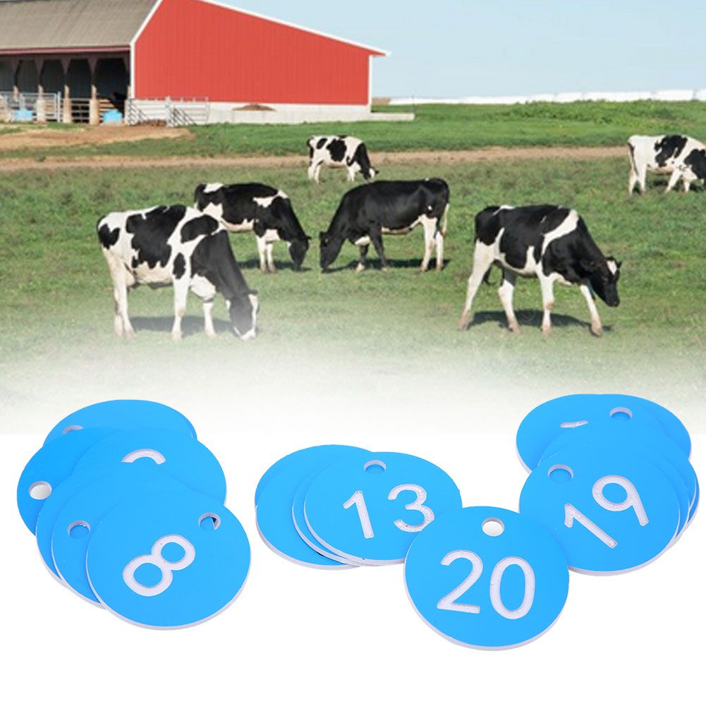 Beekeeping Husbandry Hanging Numbered Tag Labels Farm Livestock Breeding view 10