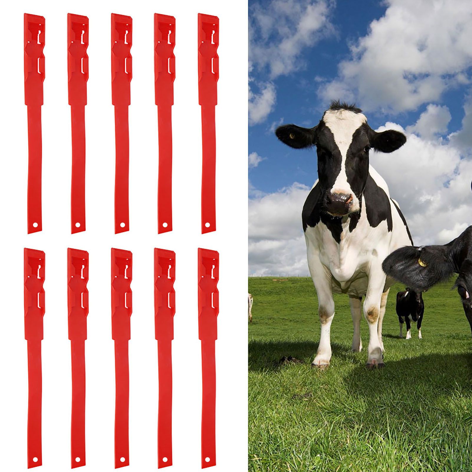 10pcs Identification ID Collars Bands Cow Cattle Marking Ring Supplies for view 10