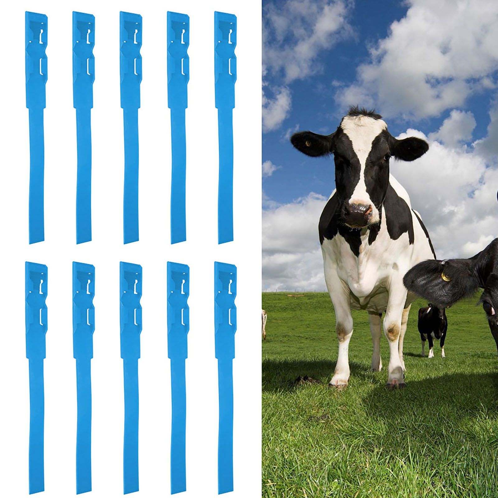 10pcs Identification ID Collars Bands Cow Cattle Marking Ring Supplies for view 9