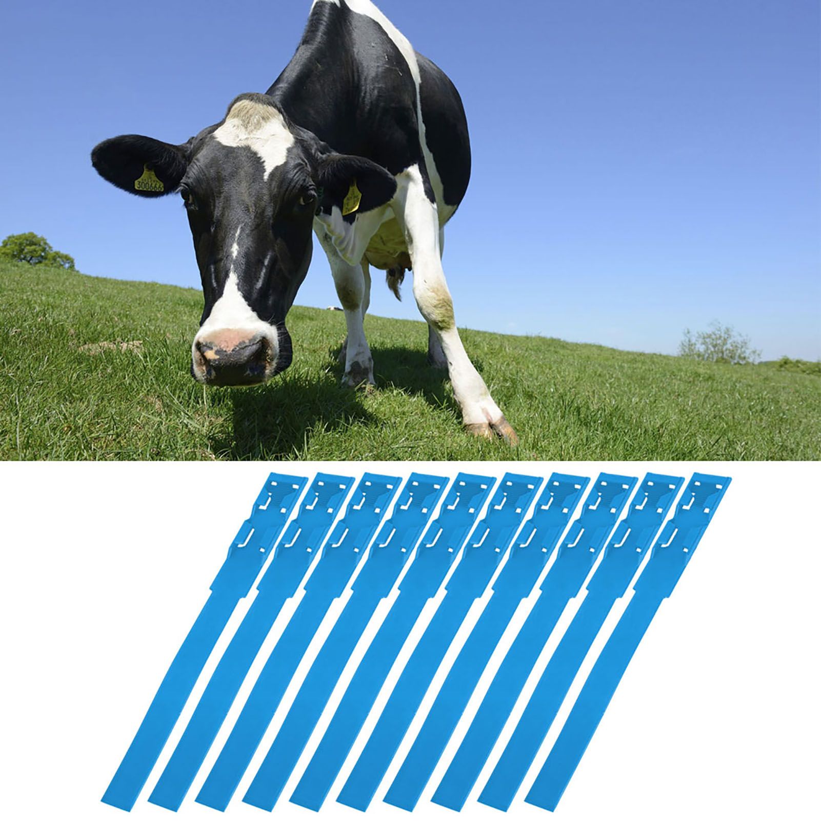 10pcs Identification ID Collars Bands Cow Cattle Marking Ring Supplies for view 10