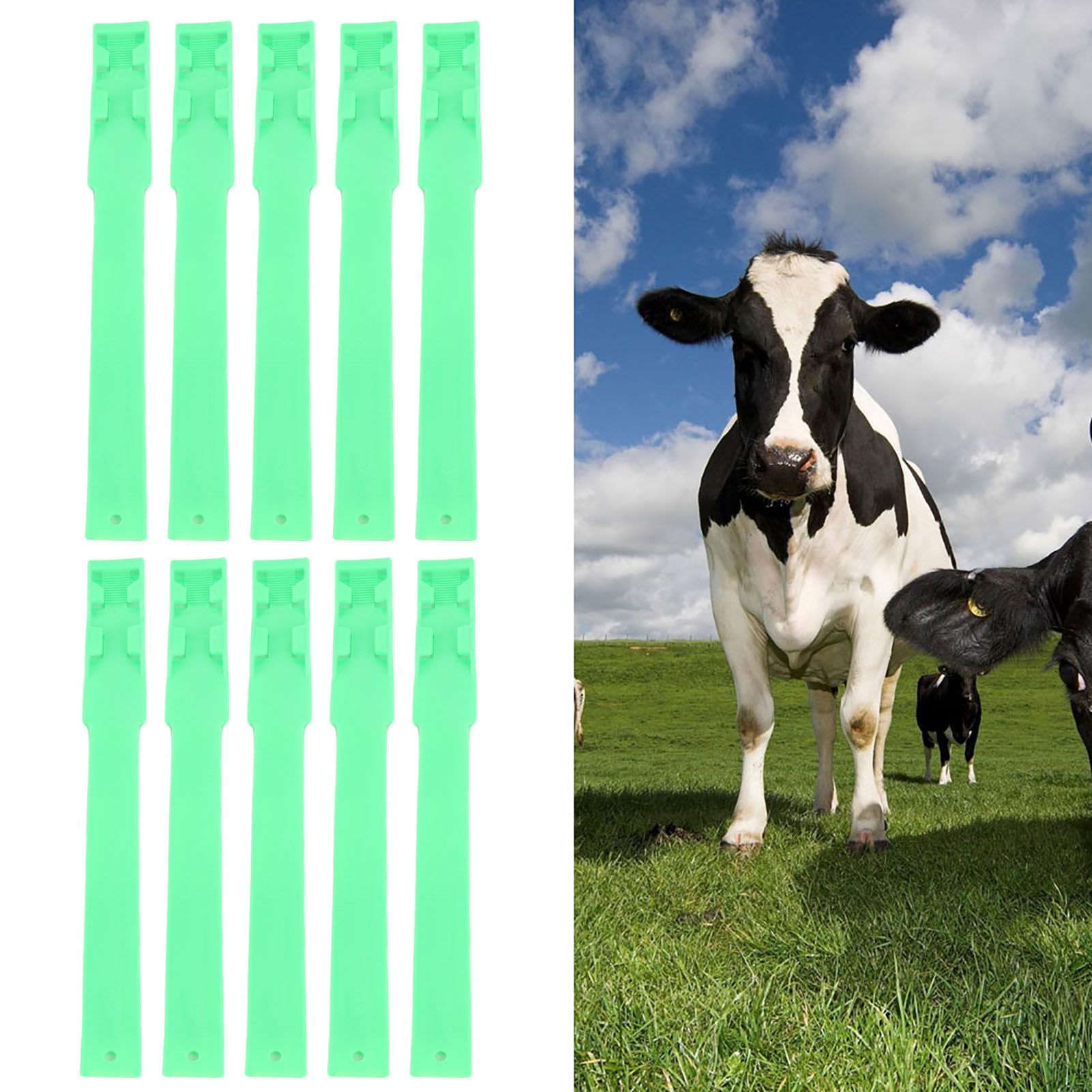 10pcs Identification ID Collars Bands Cow Cattle Marking Ring Supplies for view 11