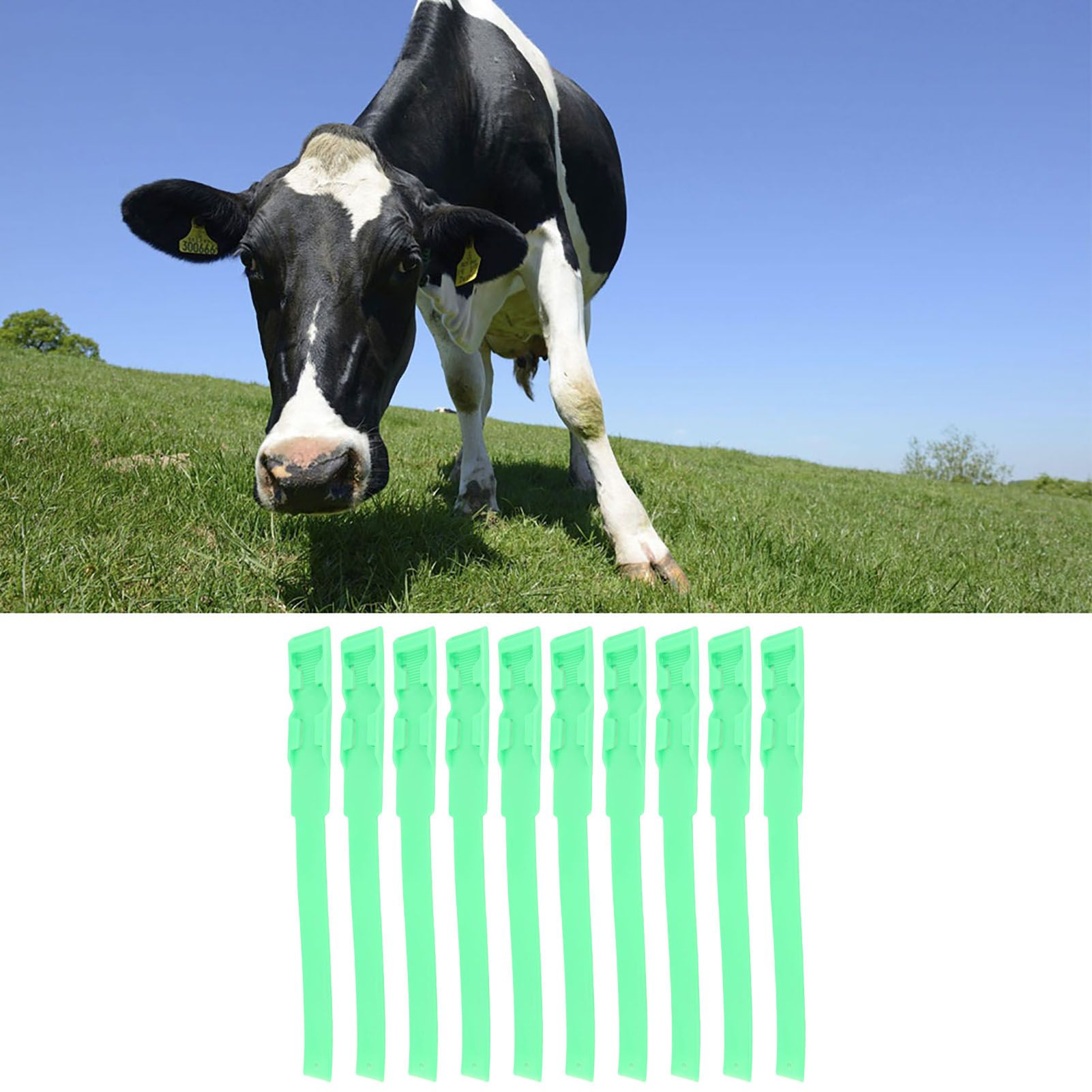 10pcs Identification ID Collars Bands Cow Cattle Marking Ring Supplies for view 12