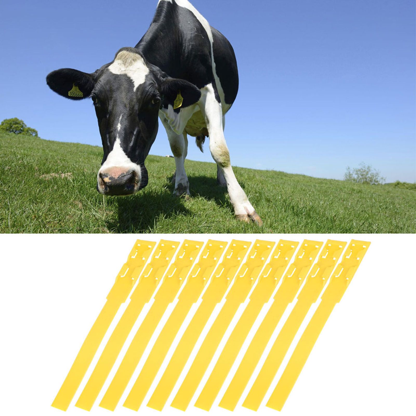 10pcs Identification ID Collars Bands Cow Cattle Marking Ring Supplies for view 9
