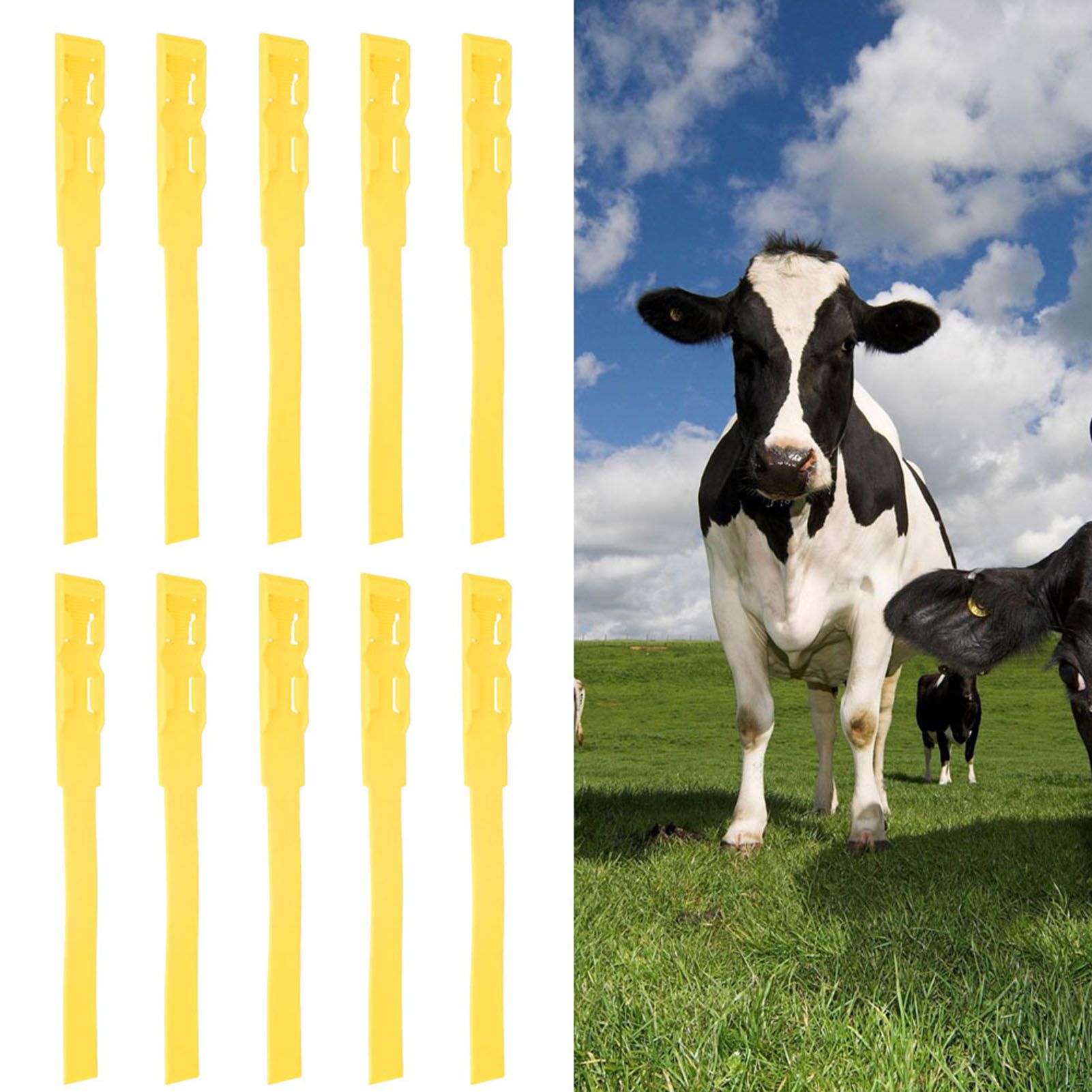 10pcs Identification ID Collars Bands Cow Cattle Marking Ring Supplies for view 10